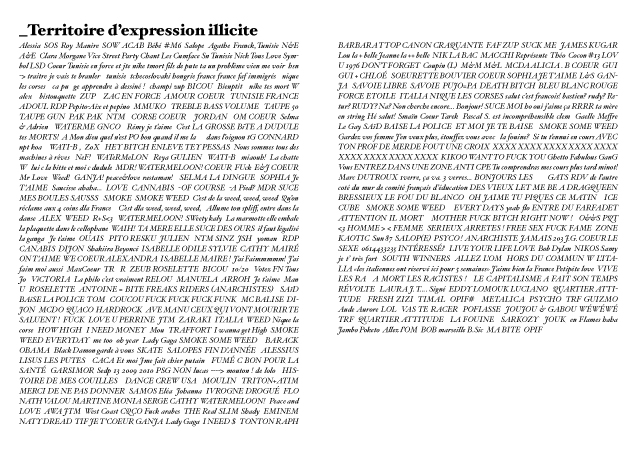 <a href='http://www.galeriesinguliere.com/congrescemea-F.Leduc.html' target=_blank>Florian Leduc, Territoire d'expression illicite, 2010. Texte et Installation sonore (lien vers le texte et la bande sonore). © Florian Leduc.</a>